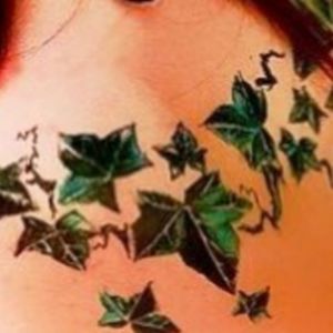 Meet your Posher, Hallie